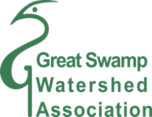 Green logo with a stylized bird outline on the left, resembling a heron. To the right, bold green text reads “Great Swamp Watershed Association” on three separate lines.