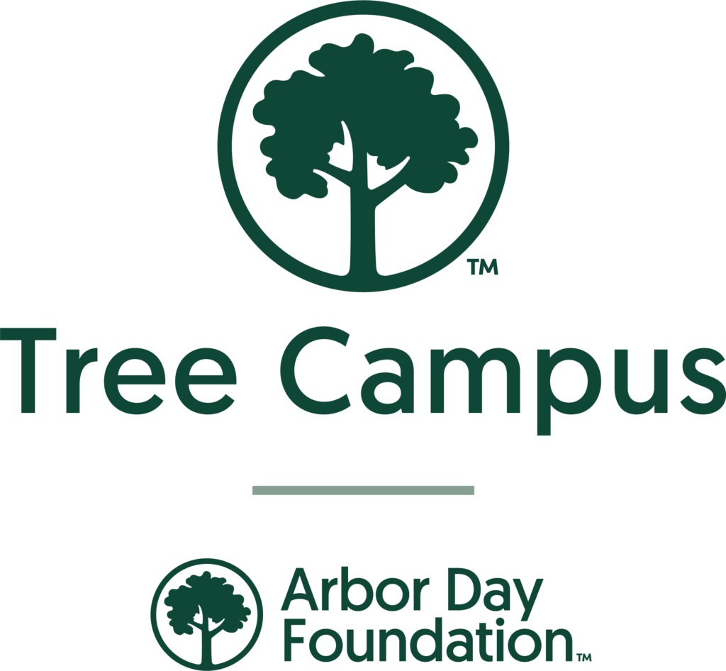 A green tree icon sits above the words Tree Campus, evoking the spirit of the best colleges NJ. Below is a horizontal line and the Arbor Day Foundation logo with a smaller tree icon. The simple design features green text on a white background.