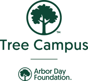 A green tree icon sits above the words Tree Campus, evoking the spirit of the best colleges NJ. Below is a horizontal line and the Arbor Day Foundation logo with a smaller tree icon. The simple design features green text on a white background.