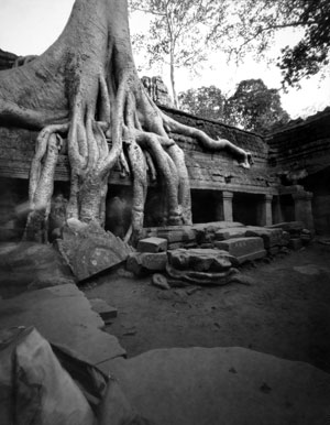 Warner Wada, Ta Prohm/Angkor, 2010, inkjet print from 8 x 10 pinhole paper negative