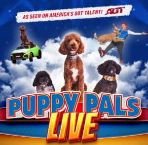 Dogs floating in sky with Puppy Pals Live logo similar to a comic book.