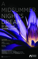 A MIDSUMMER NIGHT'S DREAM POSTER3.1.19