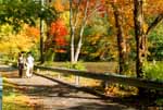 Path along side Kameron Pond