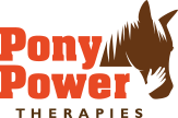 technology solutions for nonprofits - Pony Power Therapies logo with brown horse head graphic