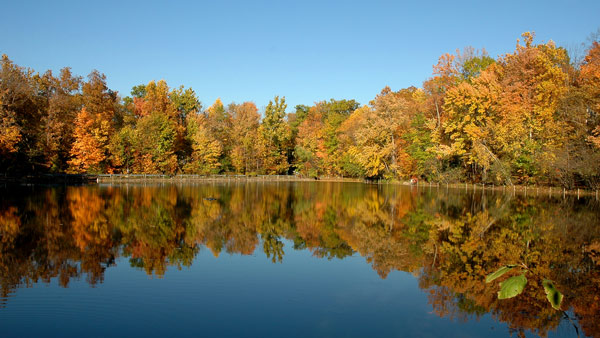 Pond at Ramapo College