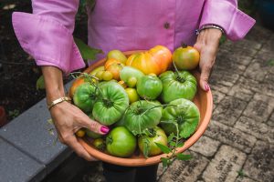 Jackie Mercer's hands holding a basket of tomatoes from the Edible Garden