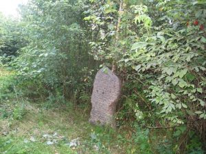 A single, weather-worn gravestone from a Jewish cemetery in Liubavichi, Russia