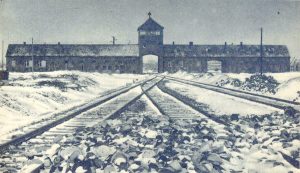 Picture of Birkenau after liberation