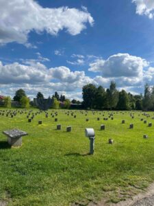 A green field with small gray stone blocks scattered throughout.
