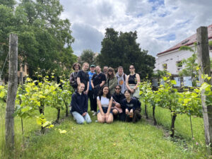 Students posed between rows of grapes in a miniature vineyard