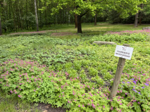 Small rows of flowers on mounds with a sign that warns that they re mass graves.