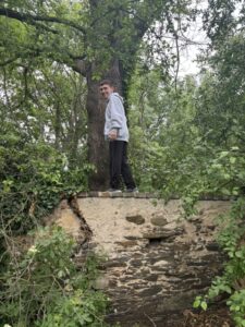 Young man in a gray sweatshirt standing on a wall, holding onto a tree.