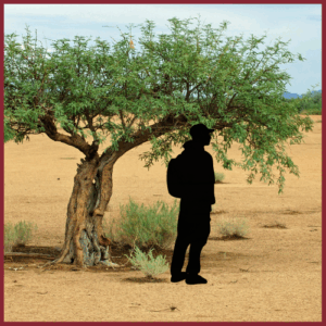 silhouette of a young man with a backpack next to a mesquite tree in the desert