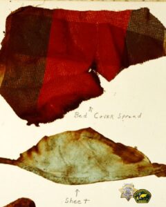 black and red bed cover which appears to be of woolen material, partial fitted sheet which appears to be stained with a dark substance