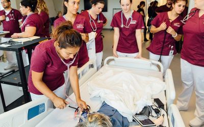 Alumni Pursue Medical Careers