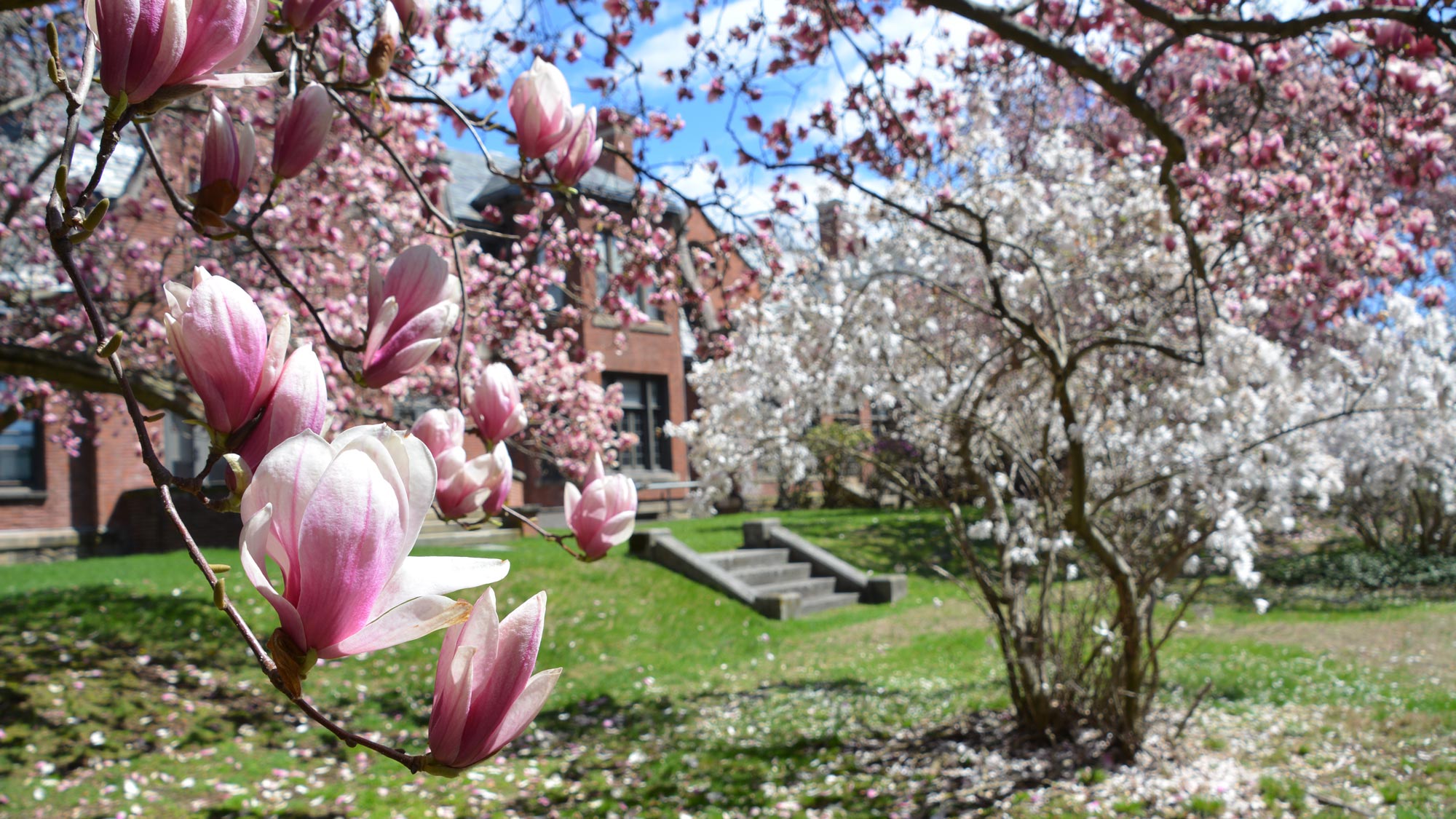 Ramapo College Campus during the spring