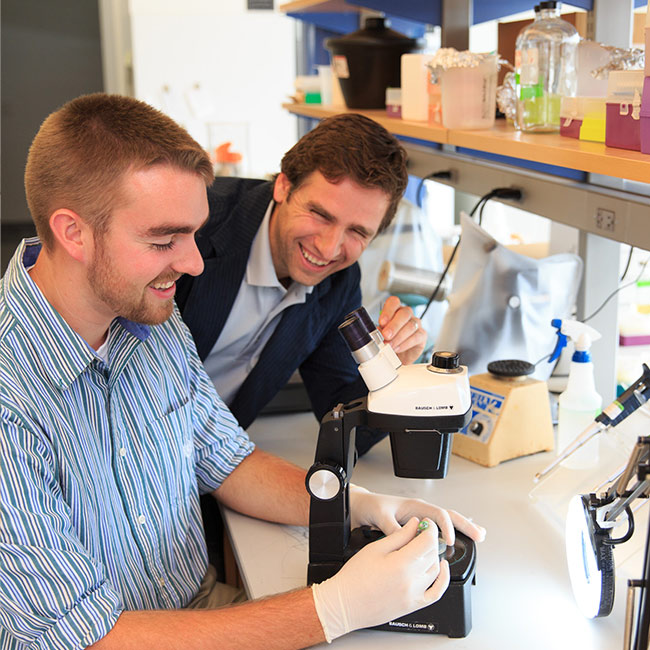 Medical Imaging Science Majors/Minors & Concentrations