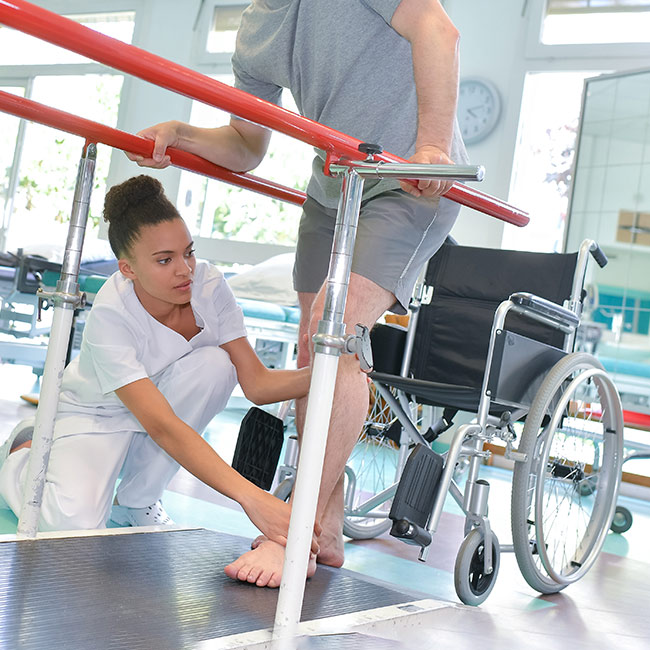 Physical Therapy Majors/Minors & Concentrations