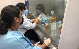 Students in a lab