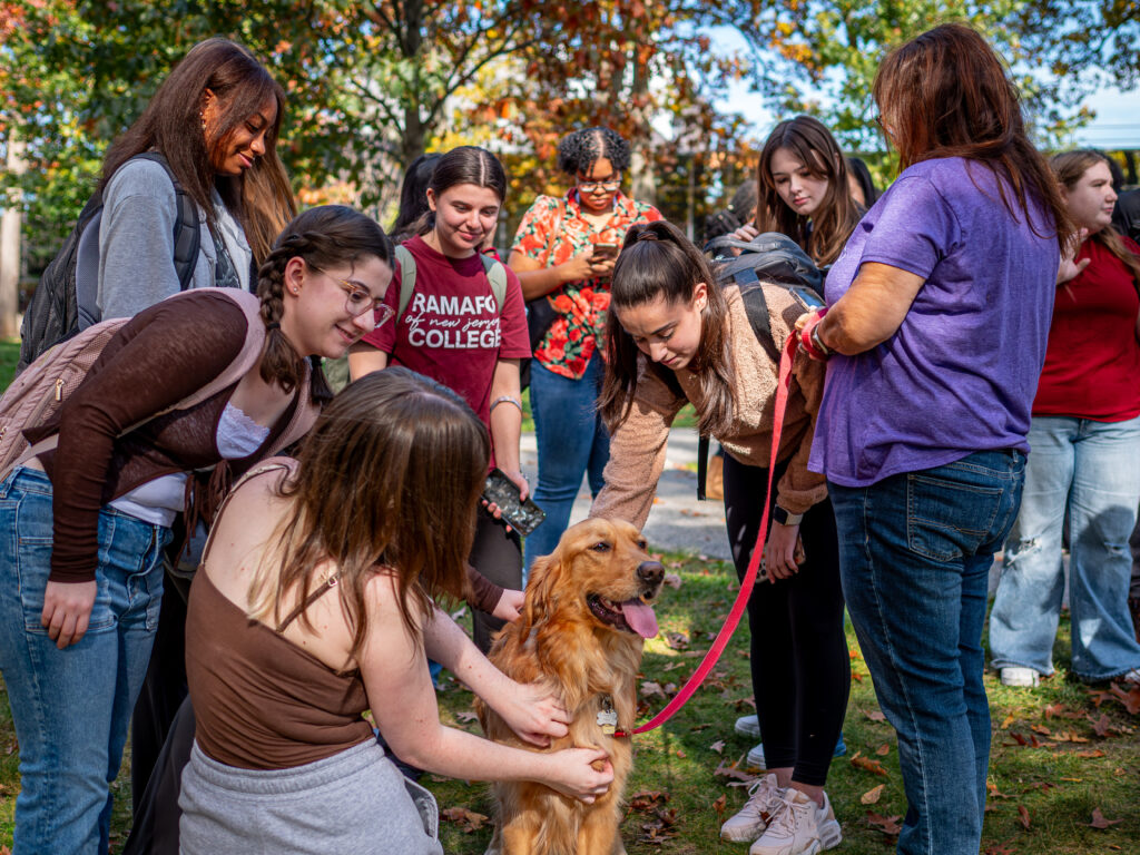 A group of students surround a golden retriever and take turns petting it with the dog's handler holding the dog's leash. They are outside in The Grove on campus surrounded by trees on a sunny day.