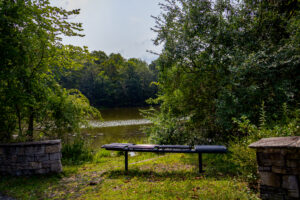A bench sits in nature in front of a pond, with trees around it.