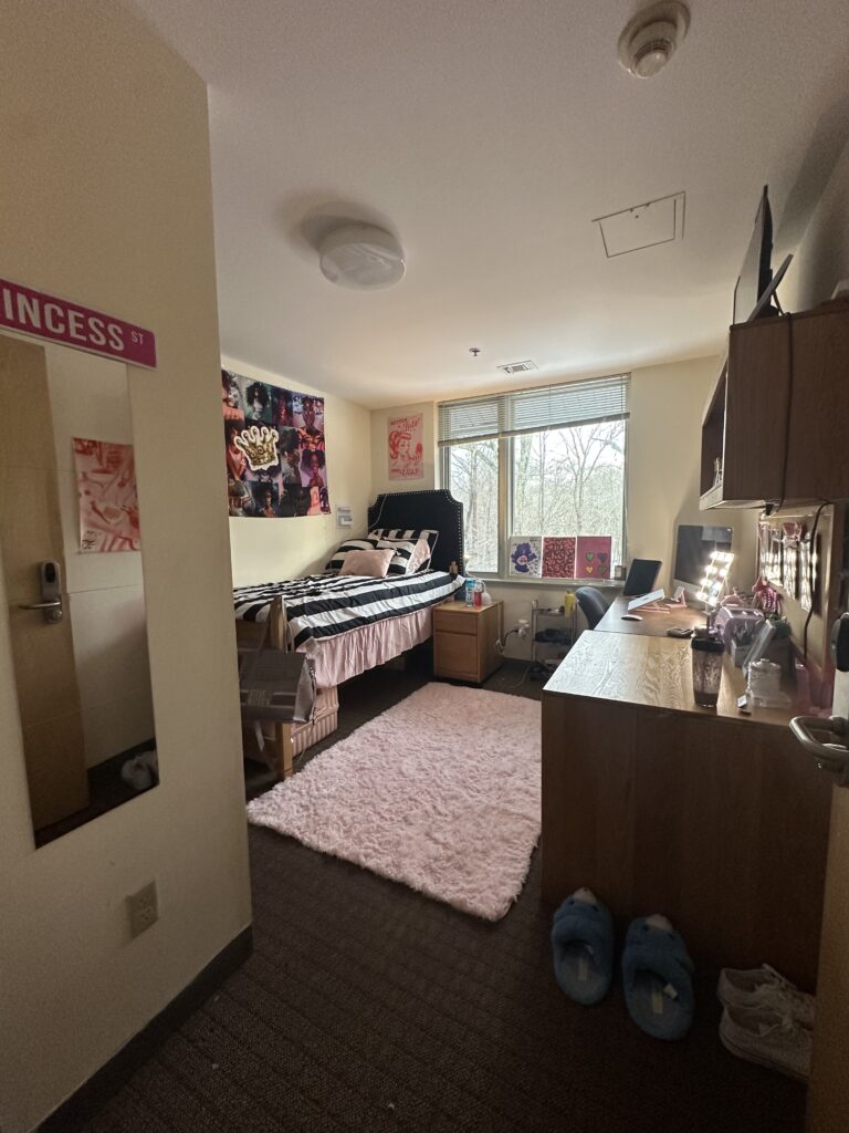 A single bed with black and white striped bedding is along a wall adorned with a large poster, A nightstand is to the right of it in front of a double-window. A large desk with shelving over the top is on the right wall. There is a pink area rug in the middle of the room. In the foreground, a mirror is on the left wall.