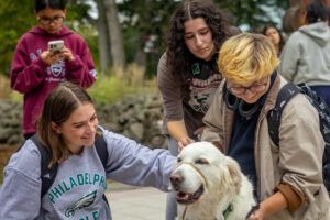 A group of three college students pet a golden retriever outside.