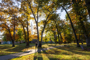A stuent walks along an outdoor path as sunlight shines through trees.