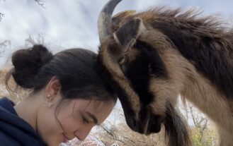 A woman and a goat put their heads together.