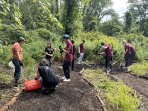 A group of people with rakes spread mulch on a path in the woods.