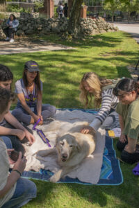 A group of college students pet a yellow dog that is laying on a blanket in grass.