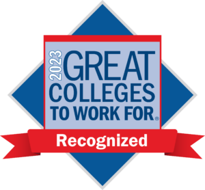 Great Colleges to Work For Logo