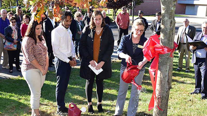 Remembrance Day ceremony with people watering a tree